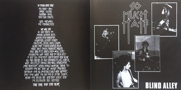 So Much Hate -Blind Alley