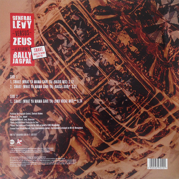 General Levy vs. Zeus* feat. Bally Jagpal -Shake (What Ya Mama Gave Ya)