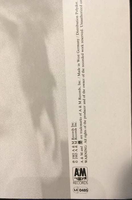 Sting - The Dream Of The Blue Turtles