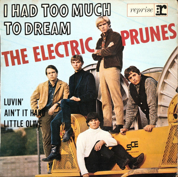The Electric Prunes -I Had Too Much To Dream