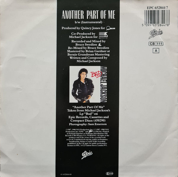 Michael Jackson -Another Part Of Me