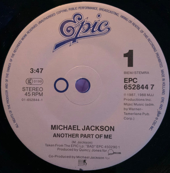 Michael Jackson -Another Part Of Me