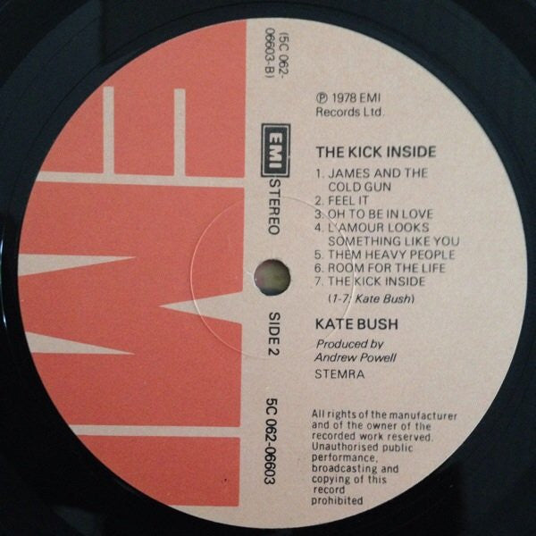 Kate Bush -The Kick Inside