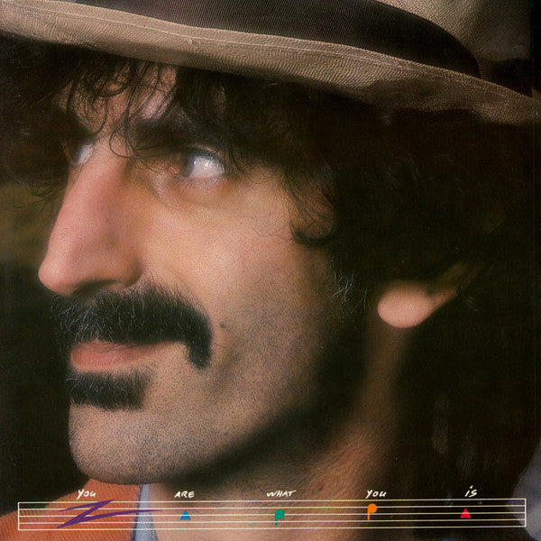 Frank Zappa -You Are What You Is
