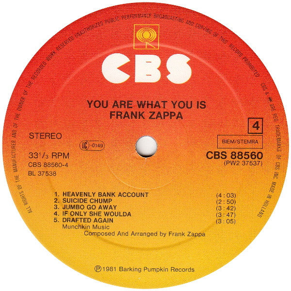 Frank Zappa -You Are What You Is