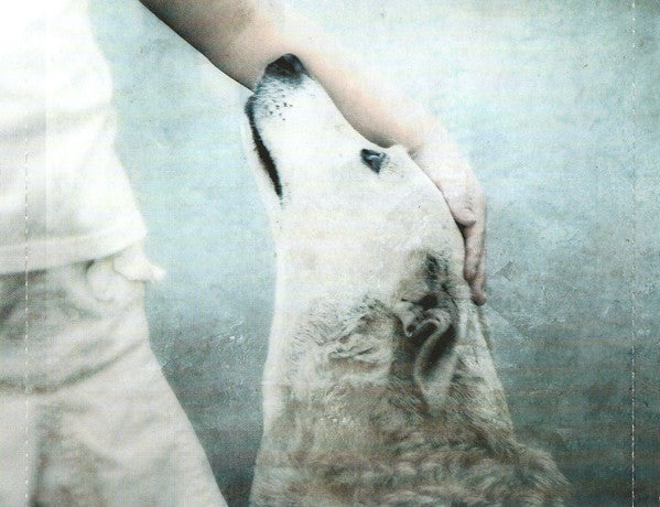 Novembre -Materia