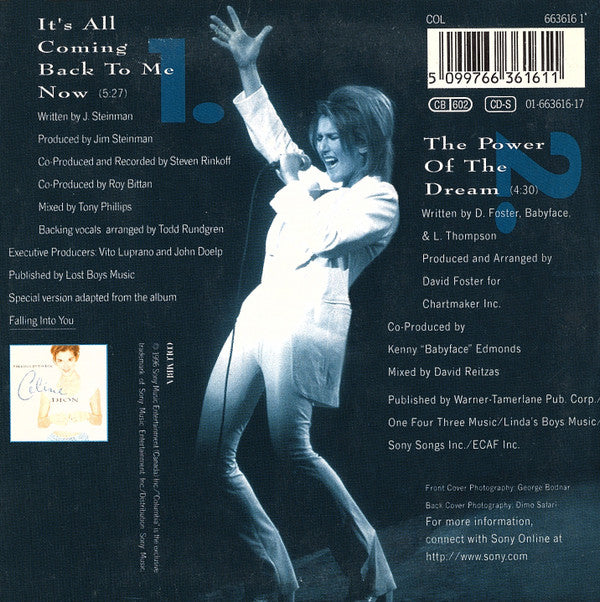 Céline Dion - It's All Coming Back To Me Now