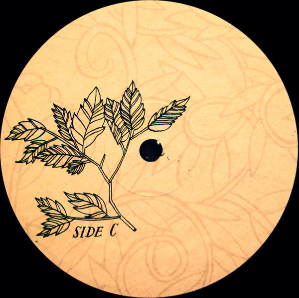 The Decemberists -Picaresque