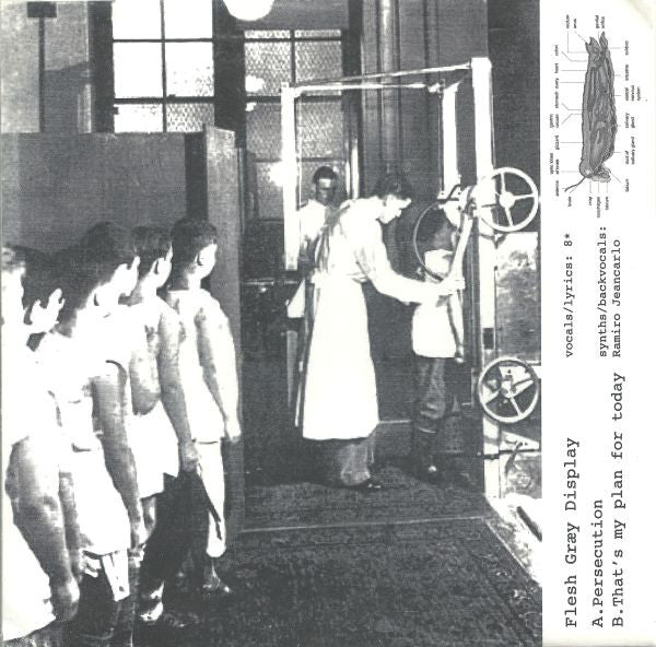 Flesh Graey Display -Persecution