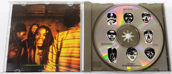 Ziggy Marley And The Melody Makers - Joy And Blues