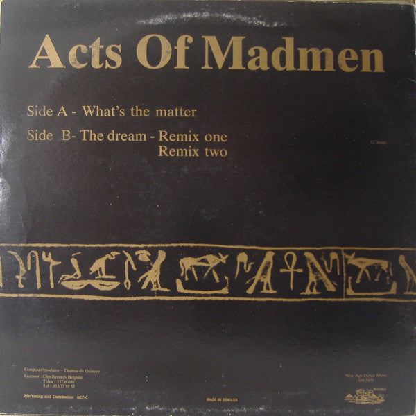 Acts Of Madmen -What's The Matter / The Dream Remix