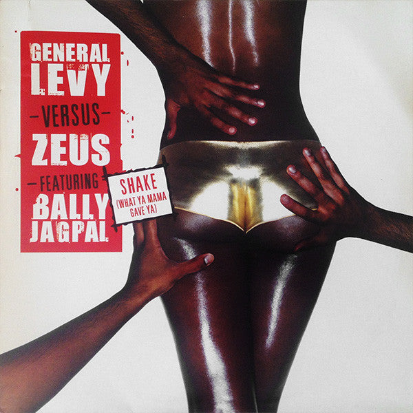General Levy vs. Zeus* feat. Bally Jagpal -Shake (What Ya Mama Gave Ya)