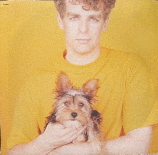Pet Shop Boys -Introspective