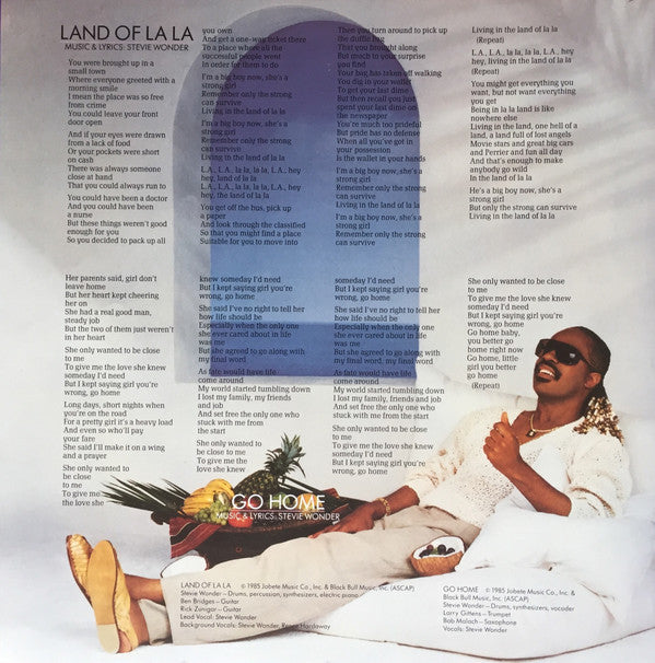 Stevie Wonder -In Square Circle
