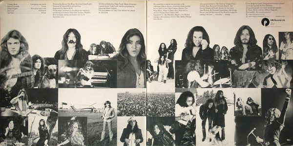 Deep Purple -Come Taste The Band