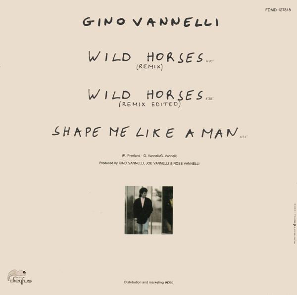 Gino Vannelli -Wild Horses (Extended Remix)