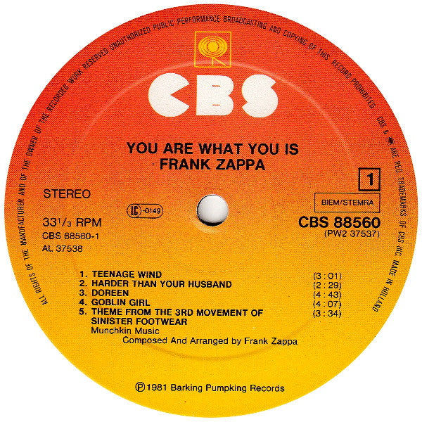 Frank Zappa -You Are What You Is