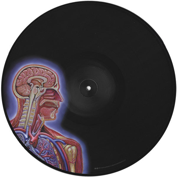 Tool (2) -Lateralus