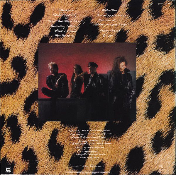 Dead Or Alive - Sophisticated Boom Boom