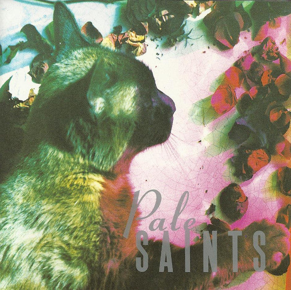Pale Saints -The Comforts Of Madness
