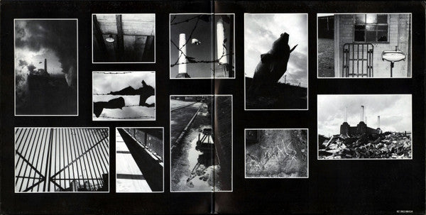 Pink Floyd -Animals