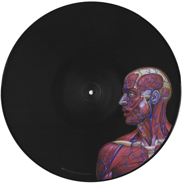 Tool (2) -Lateralus