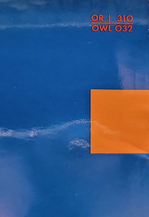 Michel Petrucciani - Oracle's Destiny - Big Sur * California