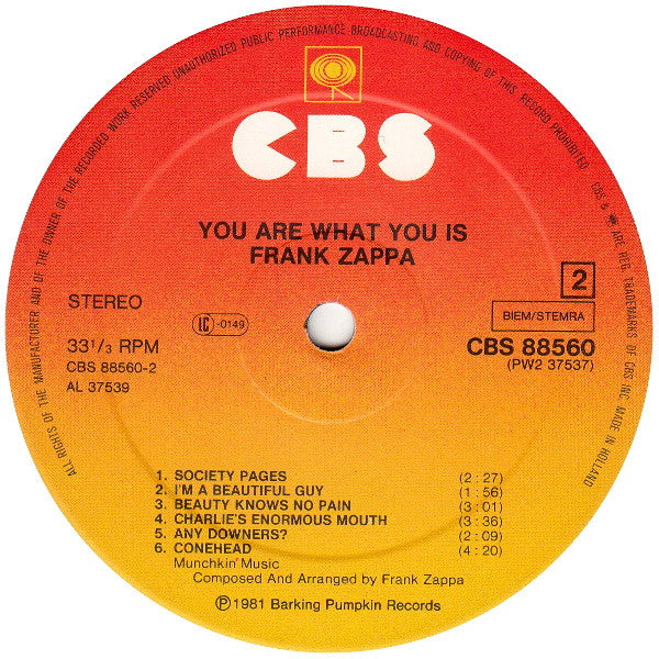 Frank Zappa -You Are What You Is