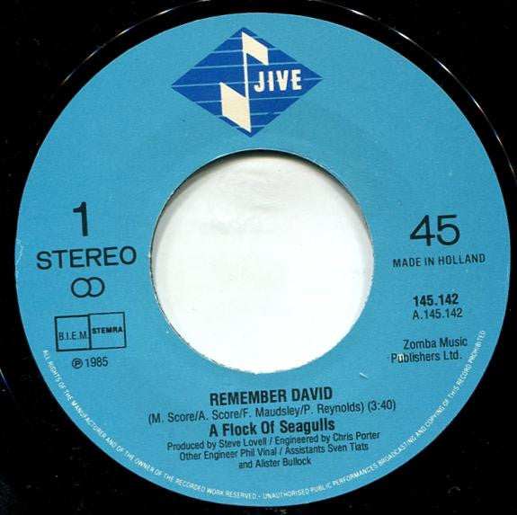 A Flock Of Seagulls - Remember David