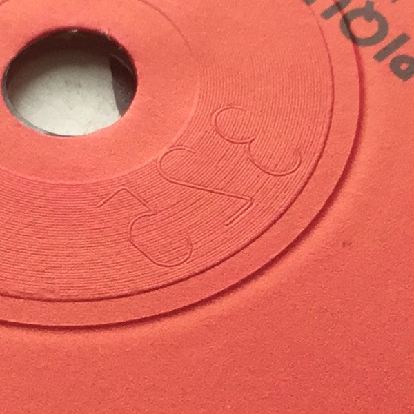 Muriel Dacq -Tropique