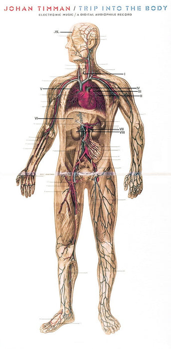 Johan Timman -Trip Into The Body