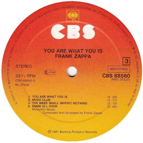 Frank Zappa -You Are What You Is