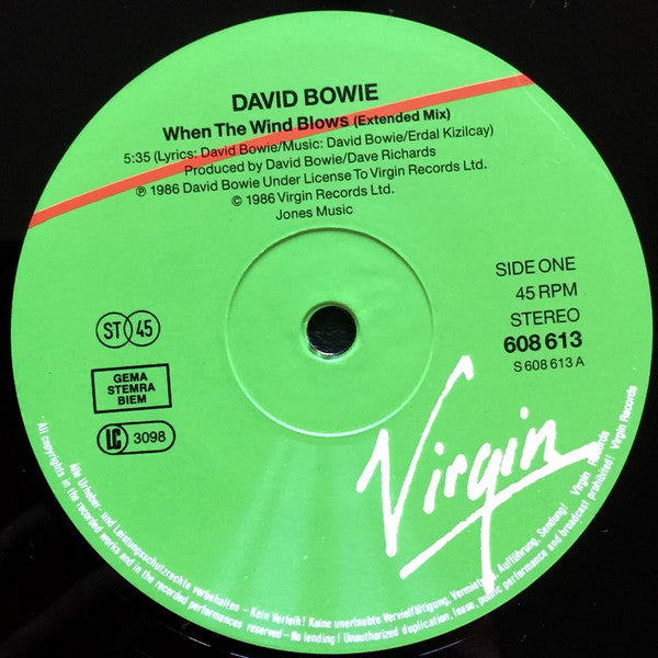 David Bowie - When The Wind Blows