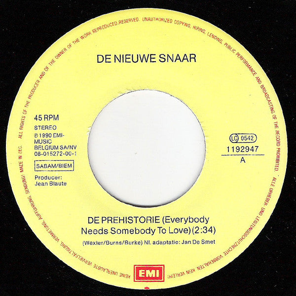 De Nieuwe Snaar -De Prehistorie