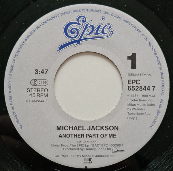 Michael Jackson -Another Part Of Me
