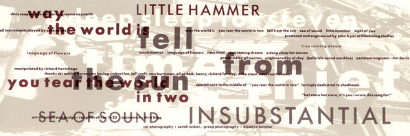 Pale Saints -The Comforts Of Madness