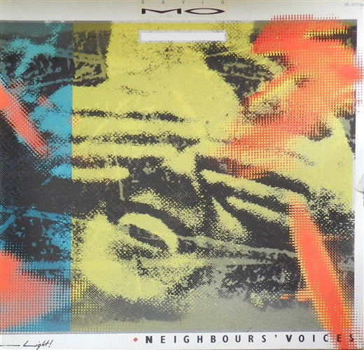 David Mo -Neighbour's Voices