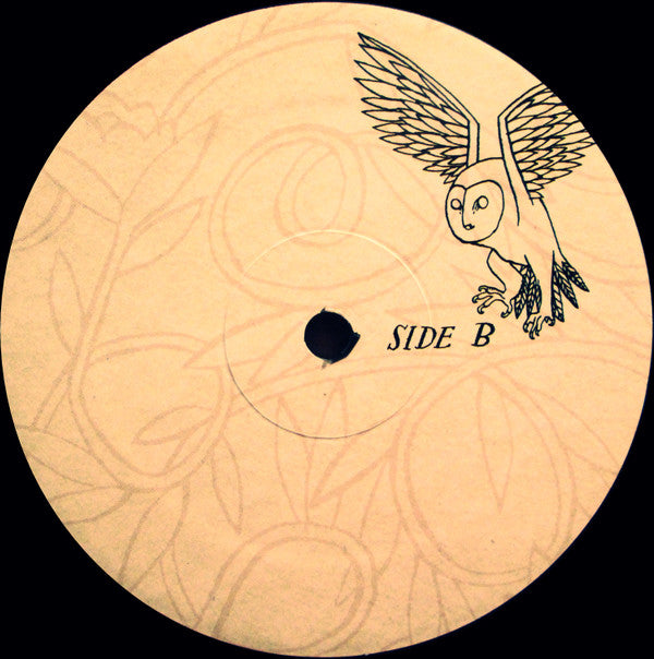 The Decemberists -Picaresque