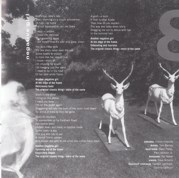 Steely Dan -Two Against Nature