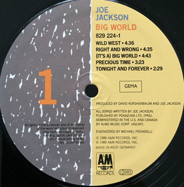 Joe Jackson -Big World