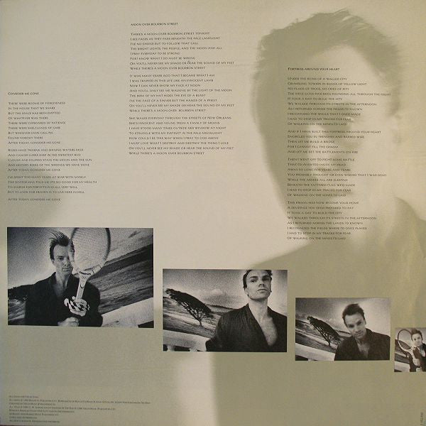 Sting - The Dream Of The Blue Turtles