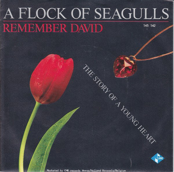 A Flock Of Seagulls -Remember David