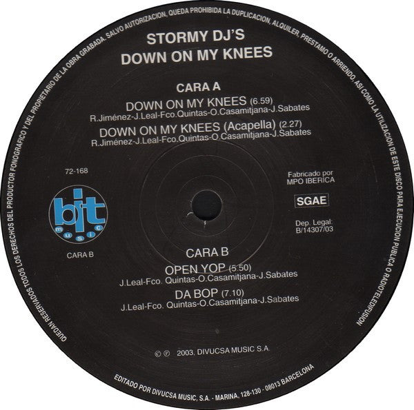 Stormy DJ's -Down On My Knees