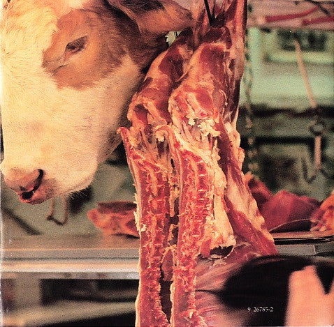 Faith No More -Angel Dust