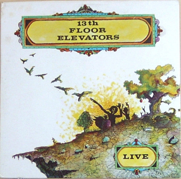 13th Floor Elevators -Live
