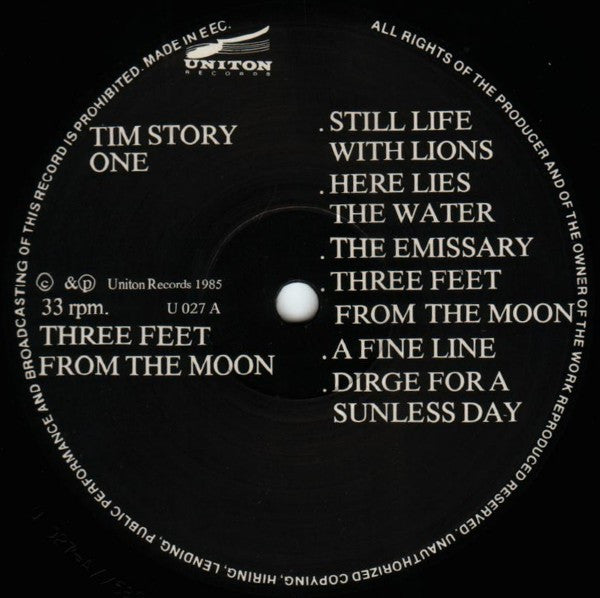 Tim Story -Three Feet From The Moon