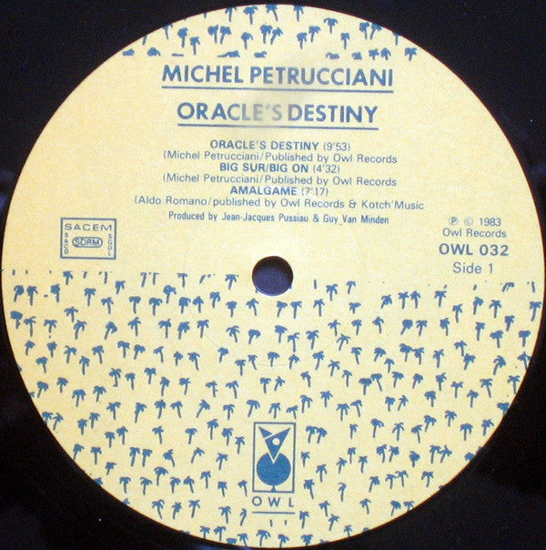 Michel Petrucciani - Oracle's Destiny - Big Sur * California