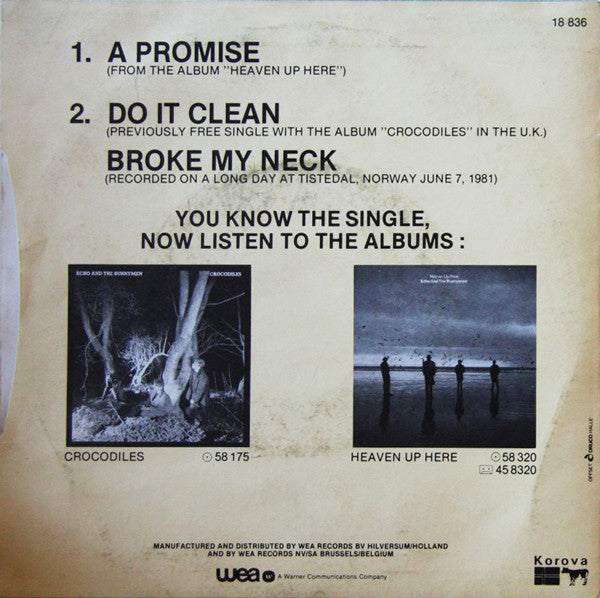 Echo And The Bunnymen* -A Promise