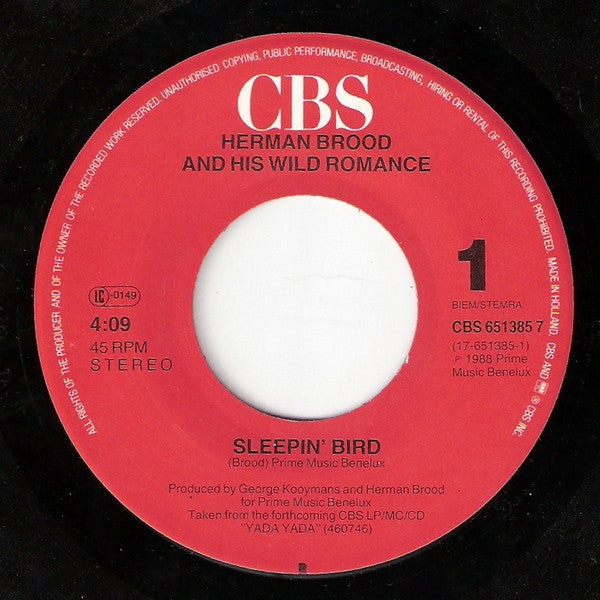 Herman Brood & His Wild Romance -Sleepin' Bird