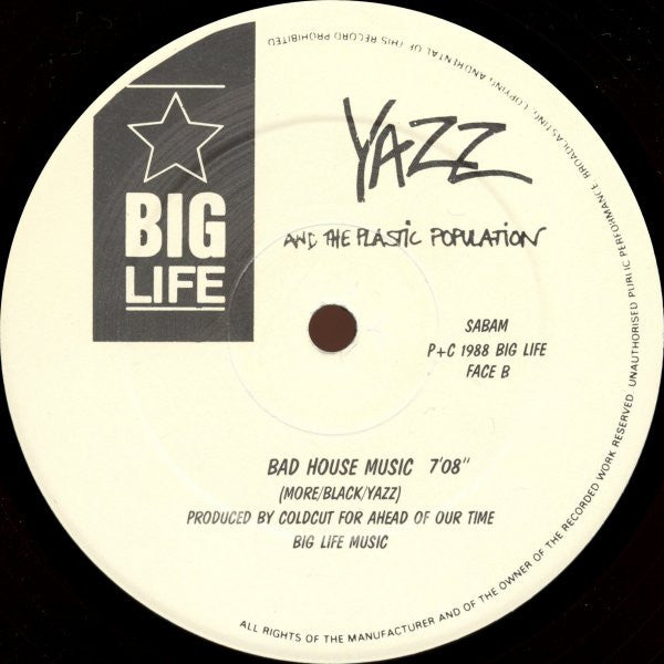 Yazz And The Plastic Population -The Only Way Is Up